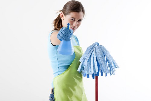 Professional carpet cleaning in a bright living room