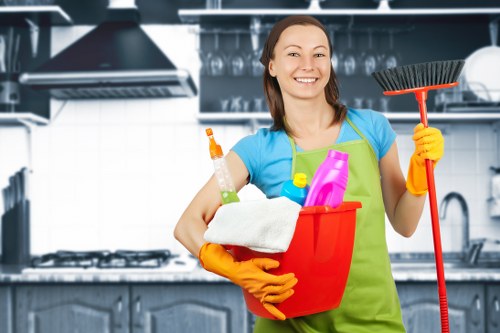 Professional sofa deep cleaning in a home